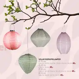 Daells Bolighus SOLAR RISPAPIRLAMPER tilbud