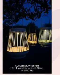 Daells Bolighus SOLCELLE LANTERNER tilbud