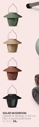 Daells Bolighus SOLAR MUSHROOM tilbud