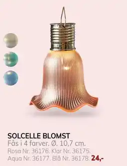 Daells Bolighus SOLCELLE BLOMST tilbud