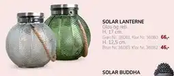 Daells Bolighus SOLAR LANTERNE tilbud