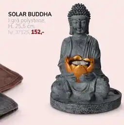 Daells Bolighus SOLAR BUDDHA tilbud