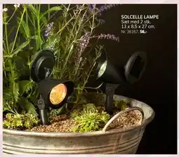 Daells Bolighus SOLCELLE LAMPE tilbud