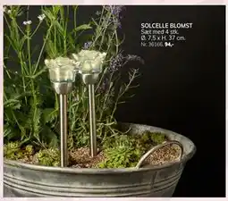 Daells Bolighus SOLCELLE BLOMST tilbud