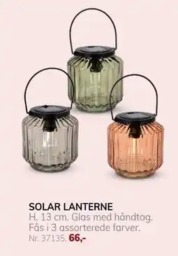 Daells Bolighus SOLAR LANTERNE tilbud