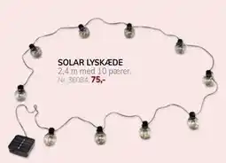Daells Bolighus SOLAR LYSKÆDE tilbud