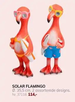 Daells Bolighus SOLAR FLAMINGO tilbud