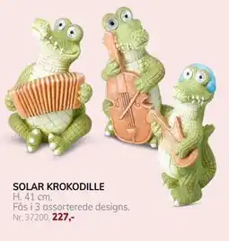 Daells Bolighus SOLAR KROKODILLE tilbud