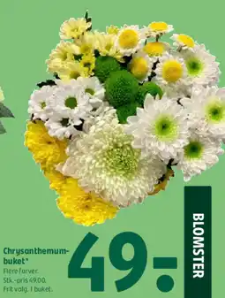 Coop 365 Chrysanthemum- buket tilbud
