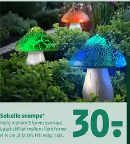 Coop 365 Solcelle svampe tilbud