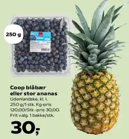 SuperBrugsen Coop blåbær eller stor ananas tilbud