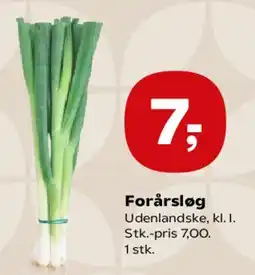 SuperBrugsen Forårsløg tilbud