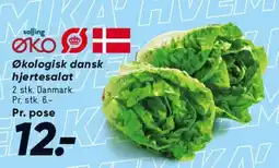 Bilka Økologisk dansk hjertesalat tilbud