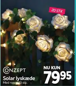Din Isenkræmmer Solar lyskæde (roser) tilbud