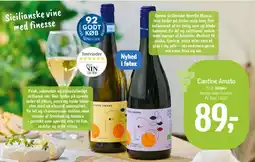 Føtex Cantine Amato tilbud