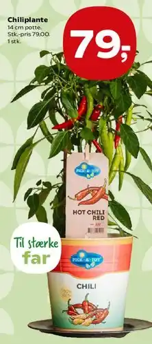 Kvickly Chiliplante tilbud