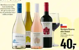 Føtex Montgras Reserva eller Amaral tilbud