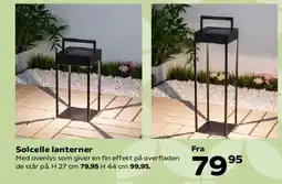 Kvickly Solcelle lanterner tilbud