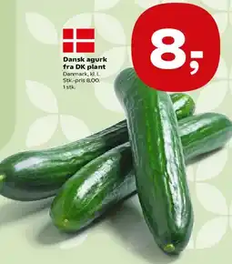 Kvickly Dansk agurk fra DK plant tilbud