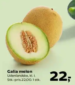 Kvickly Galia melon tilbud