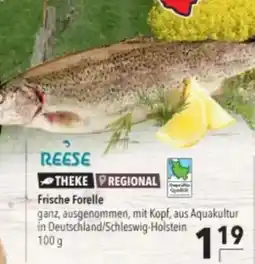 Citti Frische Forelle tilbud