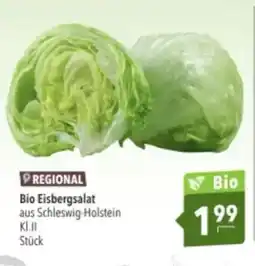 Citti Bio eisbergsalat tilbud