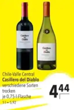 Citti CHILE-VALLE CENTRAL Casillero del diablo tilbud