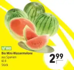 Citti Bio mini-wassermelone tilbud