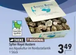 Citti Sylter royal austern tilbud
