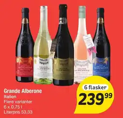 Fakta Tyskland Grande Alberone tilbud