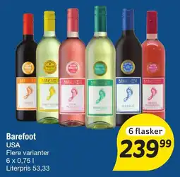 Fakta Tyskland Barefoot tilbud