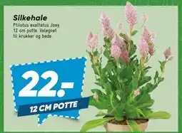 Bilka Silkehale tilbud
