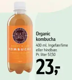Føtex Organic kombucha tilbud