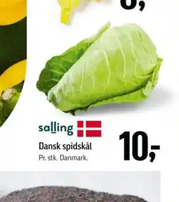 Føtex Dansk spidskål tilbud