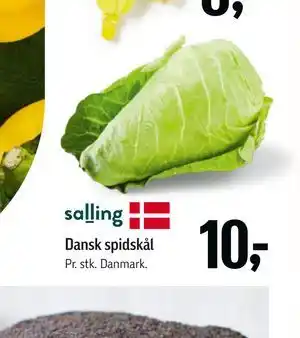Føtex Dansk spidskål tilbud