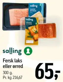 Føtex Fersk laks eller ørred tilbud