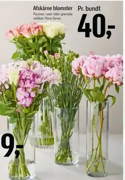 Føtex Afskårne blomster tilbud