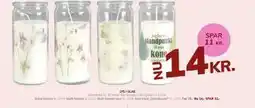 Daells Bolighus LYS I GLAS tilbud