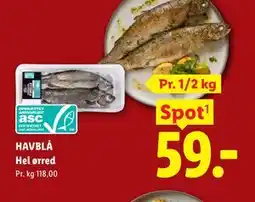 Lidl HAVBLÅ Hel ørred tilbud