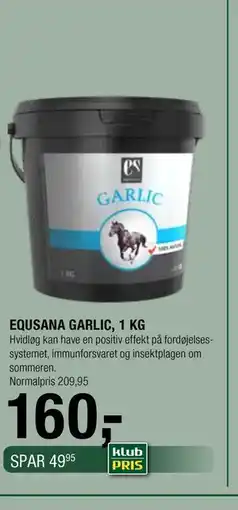 Land & Fritid EQUSANA GARLIC, 1 KG, Medlemspris tilbud