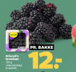 Netto DRISCOLL'S Brombær tilbud