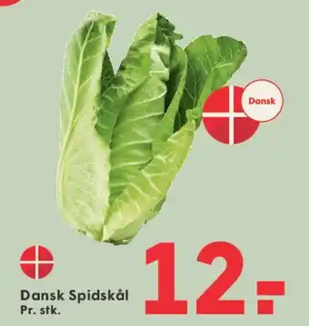 SPAR Dansk Spidskål tilbud