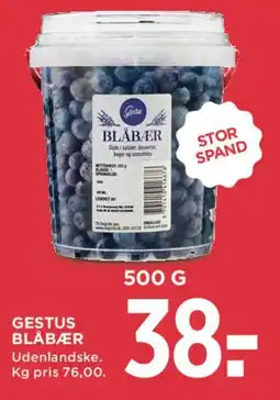 MENY Gestus blåbær tilbud