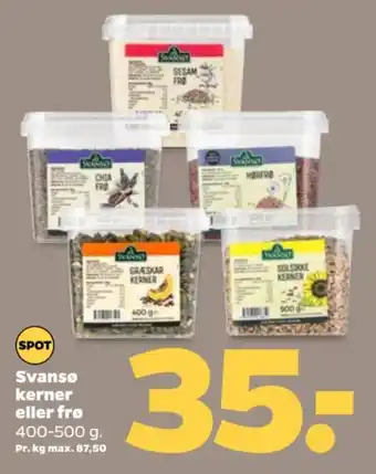 Netto SVANSØ Kerner eller frø tilbud