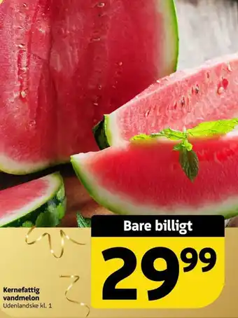 Løvbjerg Kernefattig vandmelon tilbud