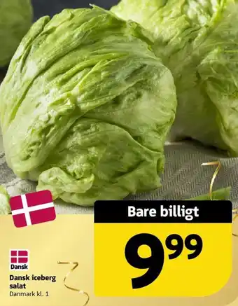Løvbjerg Dansk iceberg salat tilbud