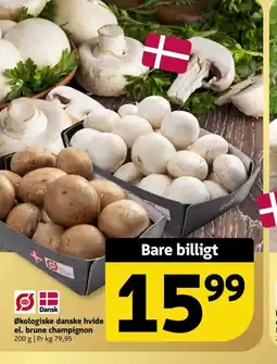 Løvbjerg Økologiske danske hvide el. brune champignon tilbud