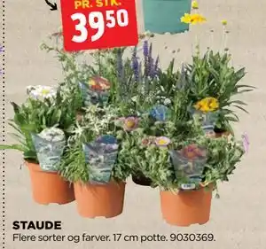 jem & fix STAUDE tilbud
