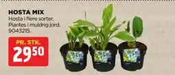 jem & fix HOSTA MIX tilbud