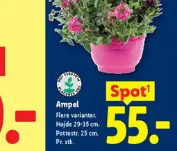 Lidl Dækbark / Barkflis tilbud